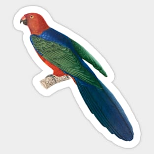 Vibrant Blue Backed Parakeet Sticker